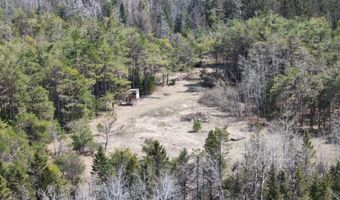 5280 Cathro Rd, Alpena, MI 49707