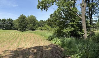 28 Mile Rd, Albion, MI 49224