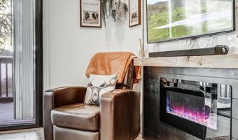 306 ILLINOIS GULCH Rd 113, Breckenridge, CO 80424