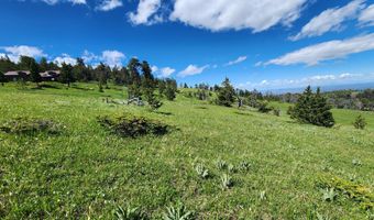 Blacktooth Road lot 12, Big Horn, WY 82833