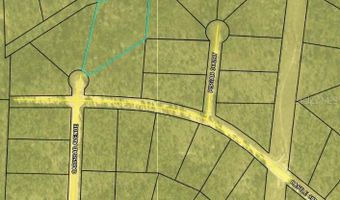 CASTLE CIRCLE, Alford, FL 32420