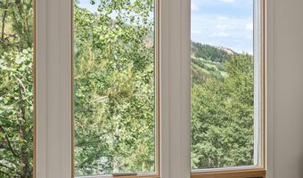 250 Mountain Laurel Dr B, Aspen, CO 81611