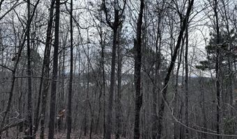 34 Acres- Mtn CONSTELLATION DRIVE Lot 34+ Acres-Mtn Tract One, Alpine, AL 35014