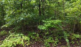 County Road Jj-416, Ava, MO 65608