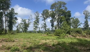 Tract 1 Mill Creek Rd, Andersonville, TN 37705