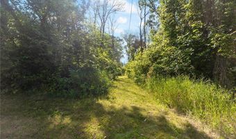 17208 Woodbine St NW, Andover, MN 55304