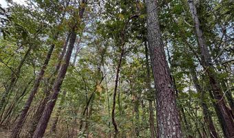 0 GIBSON COVE Dr 7.10 Acres Plus . 58 ac Access Lot, Ashville, AL 35953