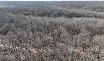 Farm Rd 1187 Lc, Ash Grove, MO 65604