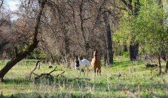 NHN Tongue River Rd, Ashland, MT 59003