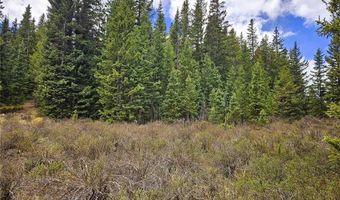 PCS # 10594 Looney Lane lot 0, Alma, CO 80420