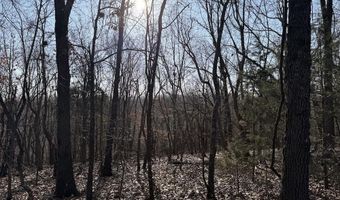 Pecks Drive N, Bergman, AR 72615