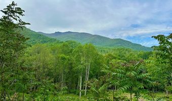 Pumpkin Patch Road, Bakersville, NC 28705