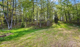 1900 N Forest Lake Dr, Alger, MI 48610