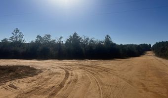 Lot 39 Caddo Avenue, Alford, FL 32420