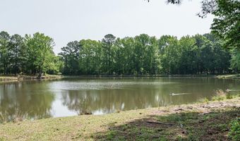 1011 Tender Dr, Apex, NC 27502