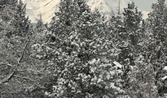 3711 NE Purcell Blvd, Bend, OR 97701