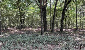 0 CR 4236, De Kalb, TX 75559