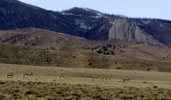 22 Broken Trl N 944-11, Belfry, MT 59008