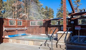 517 PRIMROSE Path 517, Breckenridge, CO 80424