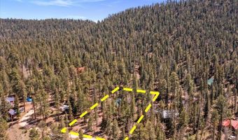 6 County Rd 2042, Alpine, AZ 85920
