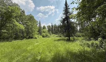 Samuelson Road-Sec22, Angora, MN 55703
