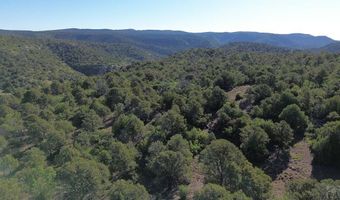 Picketwire Rd, Boncarbo, CO 81024