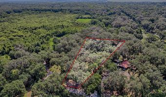 6505 SW 135TH Pl, Archer, FL 32618