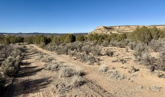 ROAD 4440, Blanco, NM 87412