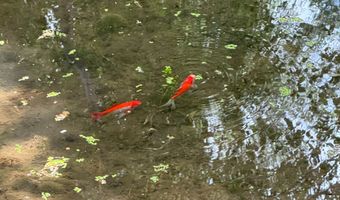 1121 E 580 Cir N, American Fork, UT 84003