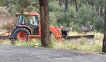 7187 CR 228, Bayfield, CO 81122