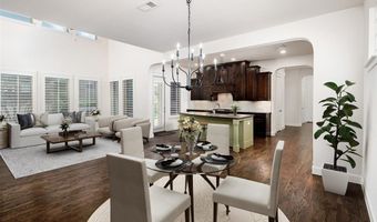 811 Otto Dr, Allen, TX 75013