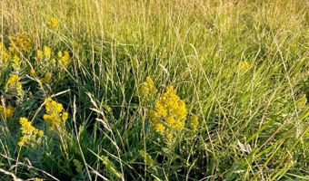 40 6 Acres Canyon Ranch Rd, Big Horn, WY 82833