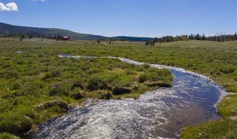 345 HIGH RIVER Ct, Alma, CO 80420