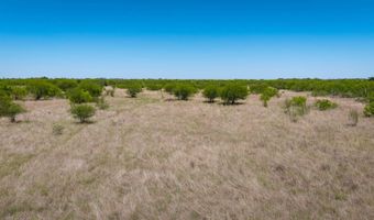 FM 735, Alice, TX 78332