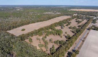 County Road 236 lot 4, Bell, FL 32619