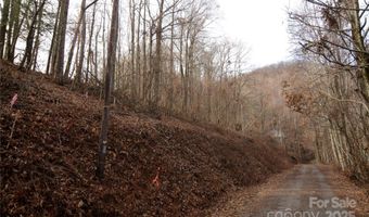 Jacks Knob Road, Barnardsville, NC 28709