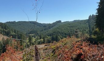 Van Horn 140 Rd, Alsea, OR 97324