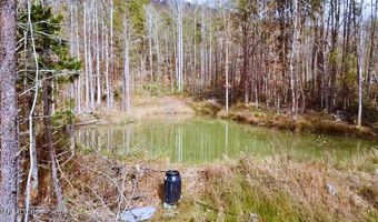 1693 Steve Brown Rd, Bean Station, TN 37708