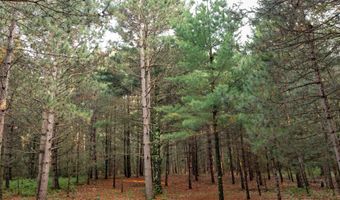 W8540 Duck Creek Lane, Westfield, WI 53964