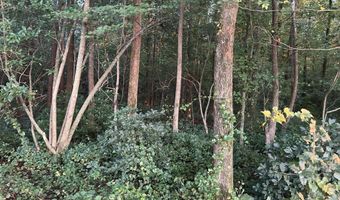 00 Nc N 903, Albertson, NC 28508