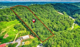 281 Lone Mountain Rd, Andersonville, TN 37705