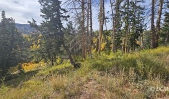 W Kokopelli Loop, Brian Head, UT 84719