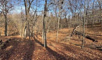 451403 Pheasant Cir Lot 56, Afton, OK 74331