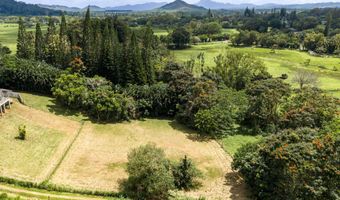 PUUOPAE RD, Kapaa, HI 96746