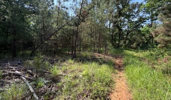 0 County Road 217, Blue Springs, MS 38828