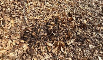 Stillmeadow Road, Axton, VA 24054