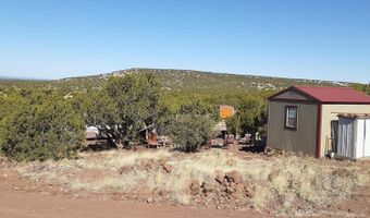 460 461 CR8301, Concho, AZ 85924