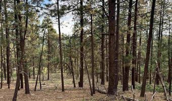 259 Hillside Cir, Bayfield, CO 81122