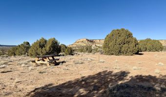 ROAD 4440, Blanco, NM 87412
