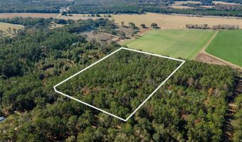 Tbd N COUNTY RD 1491, Alachua, FL 32615